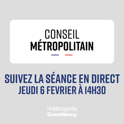 Conseil métropolitain