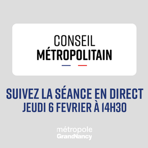 Conseil métropolitain