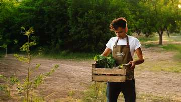 Le Grand Carreau Le Grand Carreau